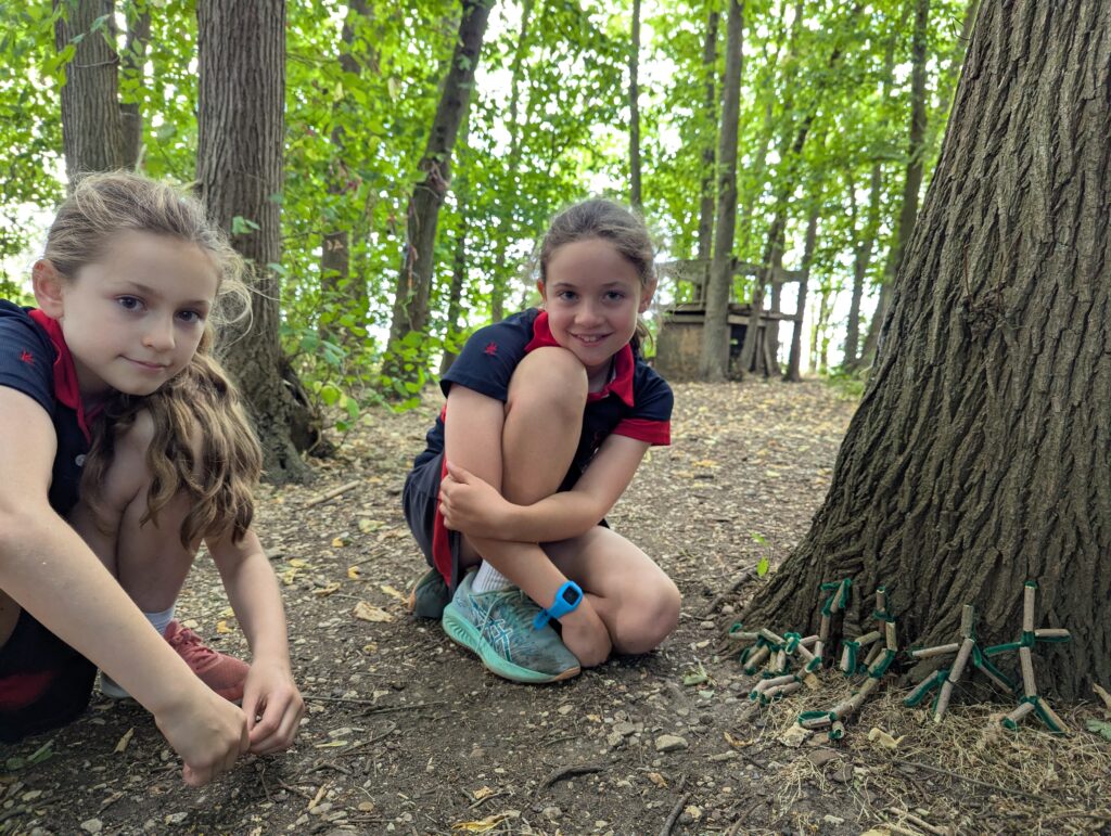 If you go down to the woods today…, Copthill School