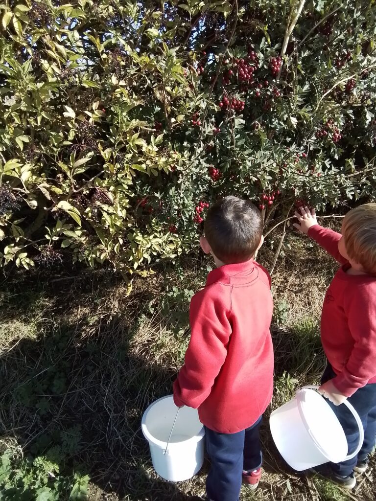 Blackberry Picking in Nursery, Copthill School