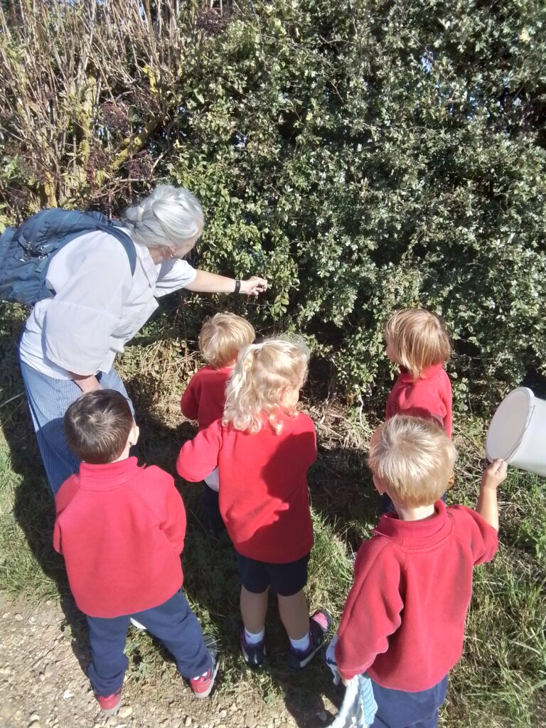 Blackberry Picking in Nursery, Copthill School