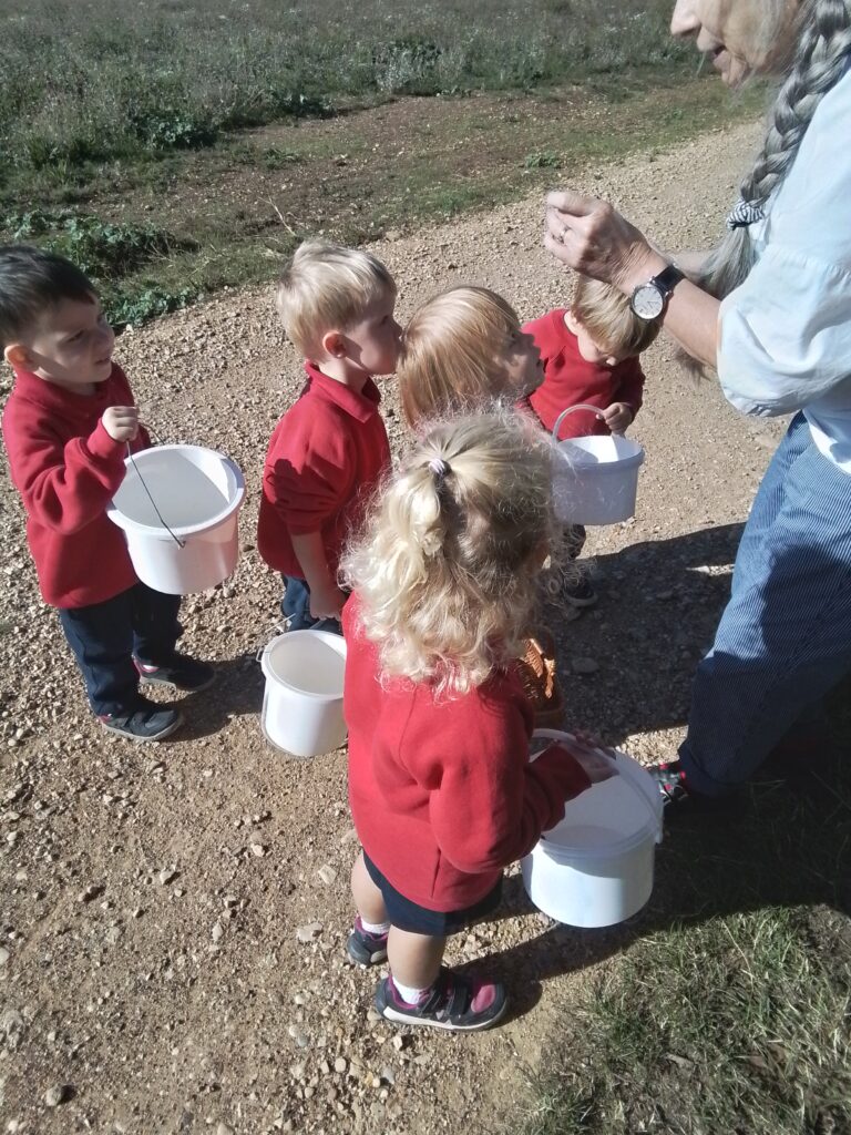 Blackberry Picking in Nursery, Copthill School
