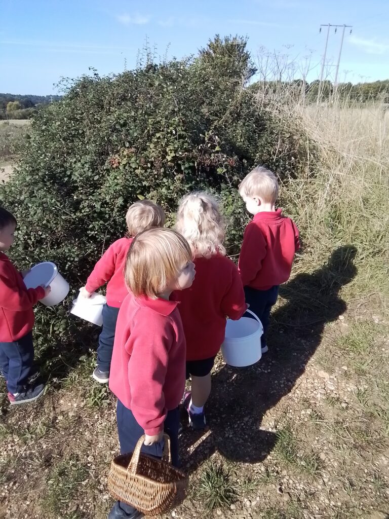 Blackberry Picking in Nursery, Copthill School