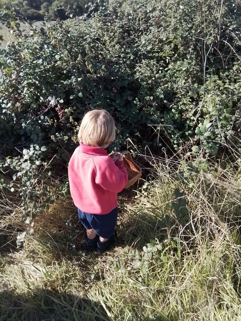 Blackberry Picking in Nursery, Copthill School