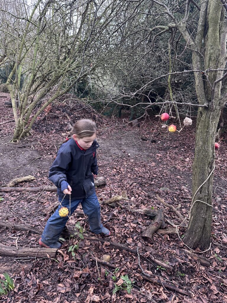 Feed the birds….. 🐦, Copthill School