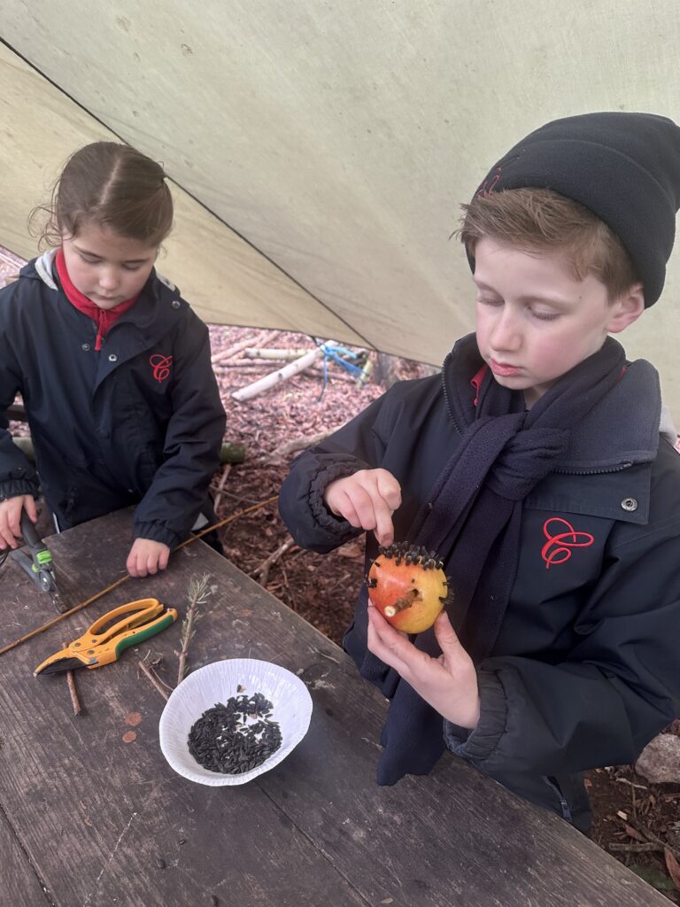 Feed the birds….. 🐦, Copthill School