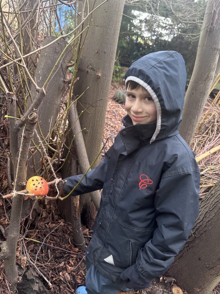 Feed the birds….. 🐦, Copthill School