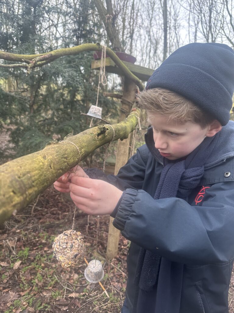 Feed the birds….. 🐦, Copthill School