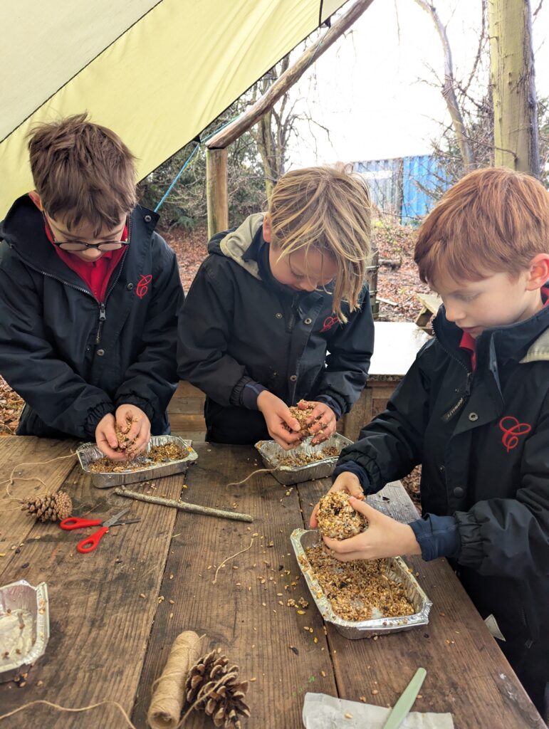 Feed the birds….. 🐦, Copthill School
