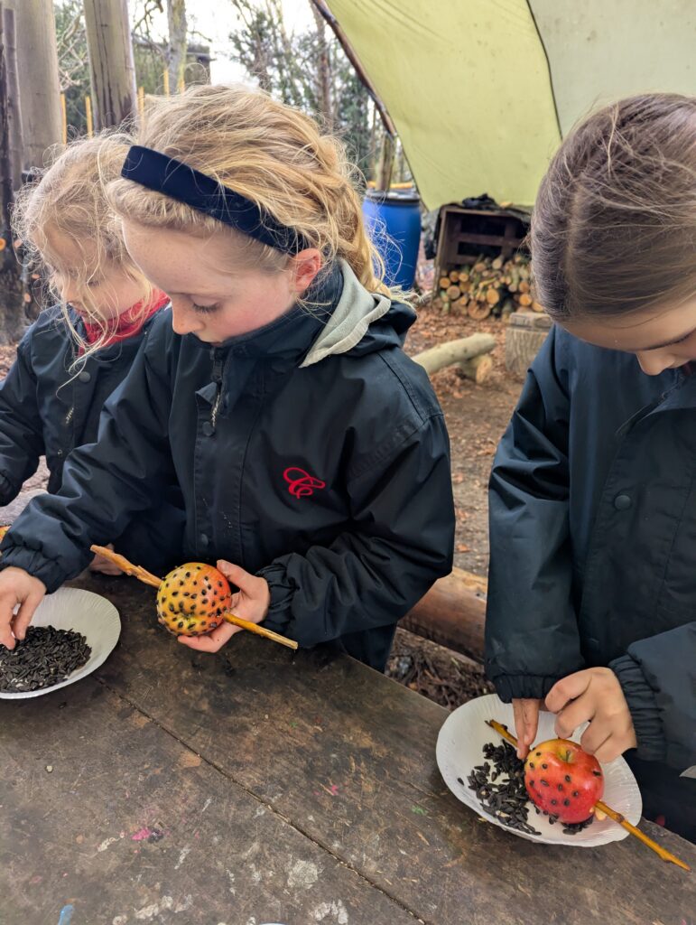 Feed the birds….. 🐦, Copthill School