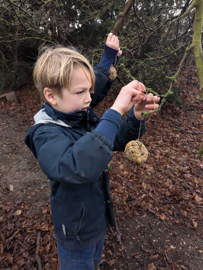 Feed the birds….. 🐦, Copthill School