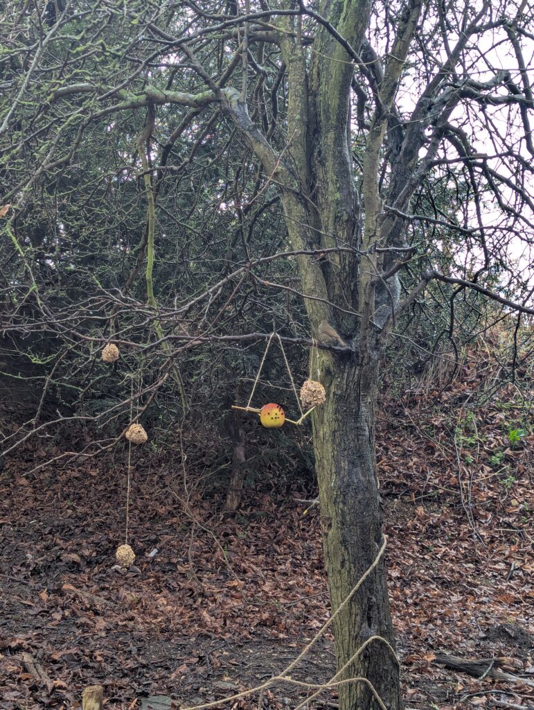 Feed the birds….. 🐦, Copthill School